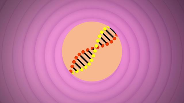 Illustration einer sich drehenden DNA-Struktur über konzentrischen Kreisen vor lila Hintergrund.