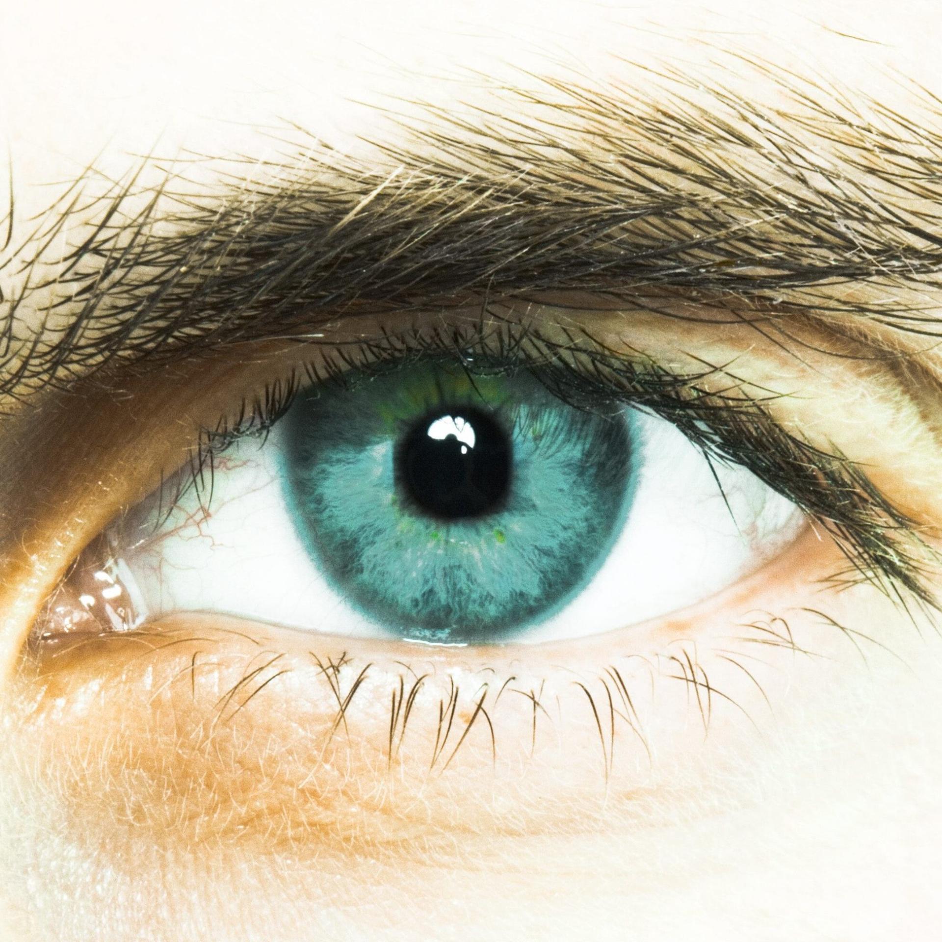 Augenheilkunde - Farbsinnstörung – die unbekannte Sehschwäche