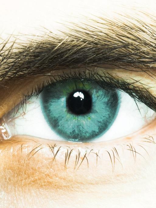 Das leuchtende Auge eines männlichen Models in Großaufnahme
