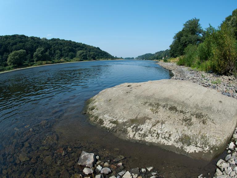 Ein sogenannter Hungerstein mit Jahreszahlen liegt am 11.08.2015 gut sichtbar in der Elbe bei Pirna-Oberposta (Sachsen). 