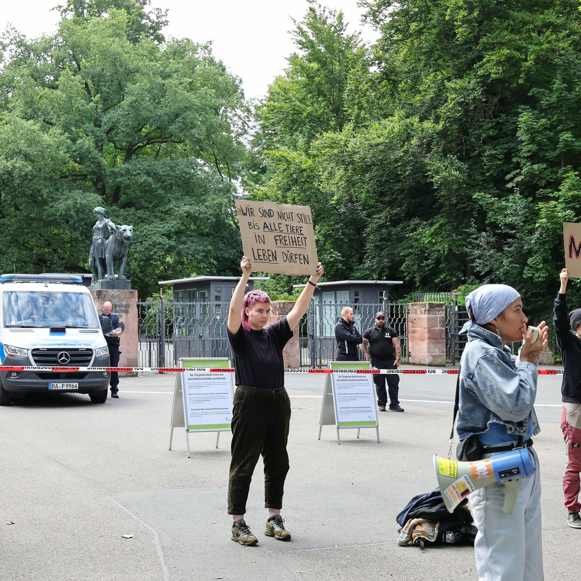 Platzmangel - Nürnberger Tiergarten tötet zwölf Paviane