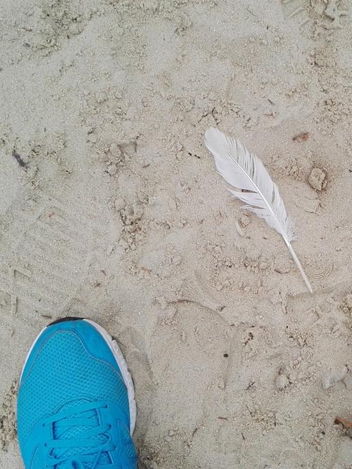 Vogelperspektive auf eine im Sand liegende Feder. Links und rechts im unteren Bildrand die Spitzen blauer Turnschuhe.