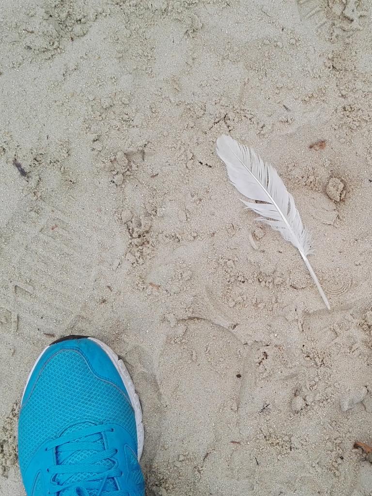 Vogelperspektive auf eine im Sand liegende Feder. Links und rechts im unteren Bildrand die Spitzen blauer Turnschuhe.
