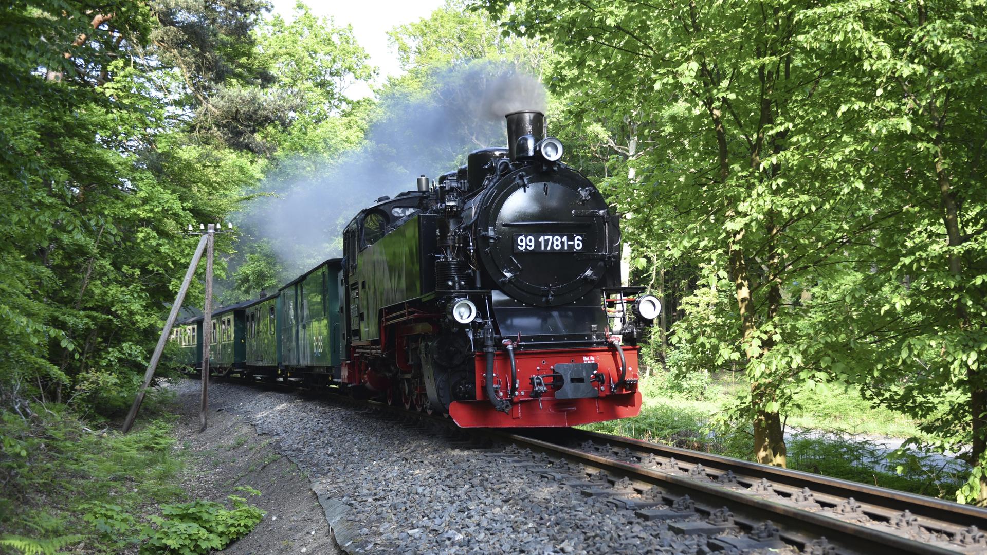 Die Schmalspurbahn mit dem Namen Rasende Roland fährt durch einen kleinen Wald auf Rügen.