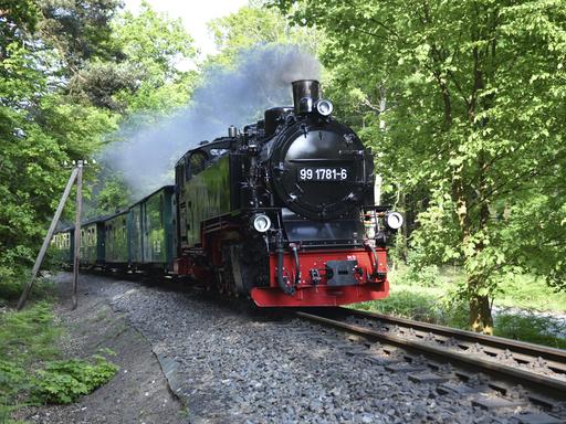 Die Schmalspurbahn mit dem Namen Rasende Roland fährt durch einen kleinen Wald auf Rügen.
