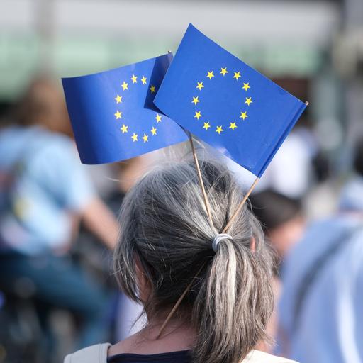 Die Teilnehmerin einer Demonstration hat sich Europa-Fähnchen in die Frisur gesteckt. 