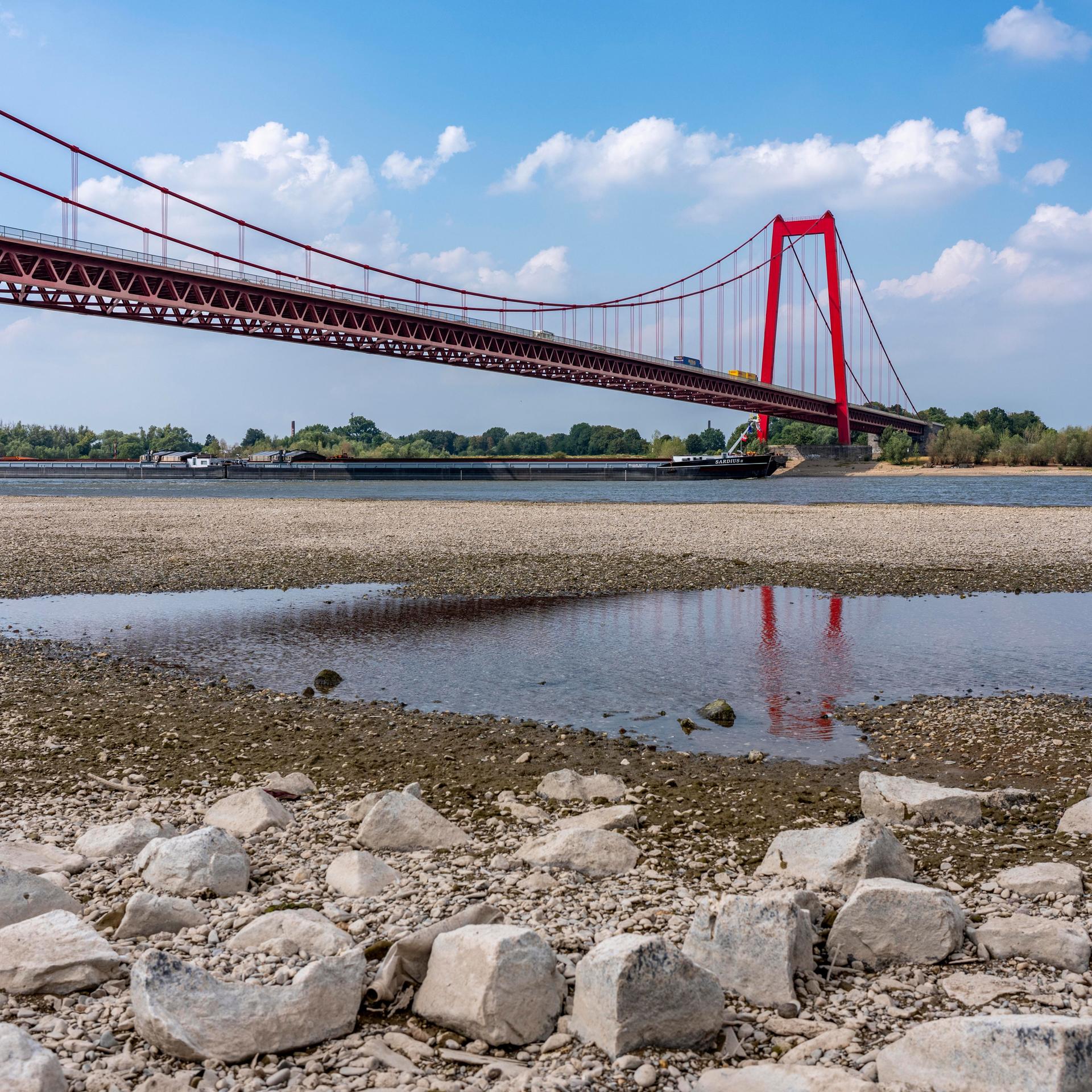 Ansicht einer roten Hängebrücke über den Rhein mit extrem niedrigem Wasserstand.