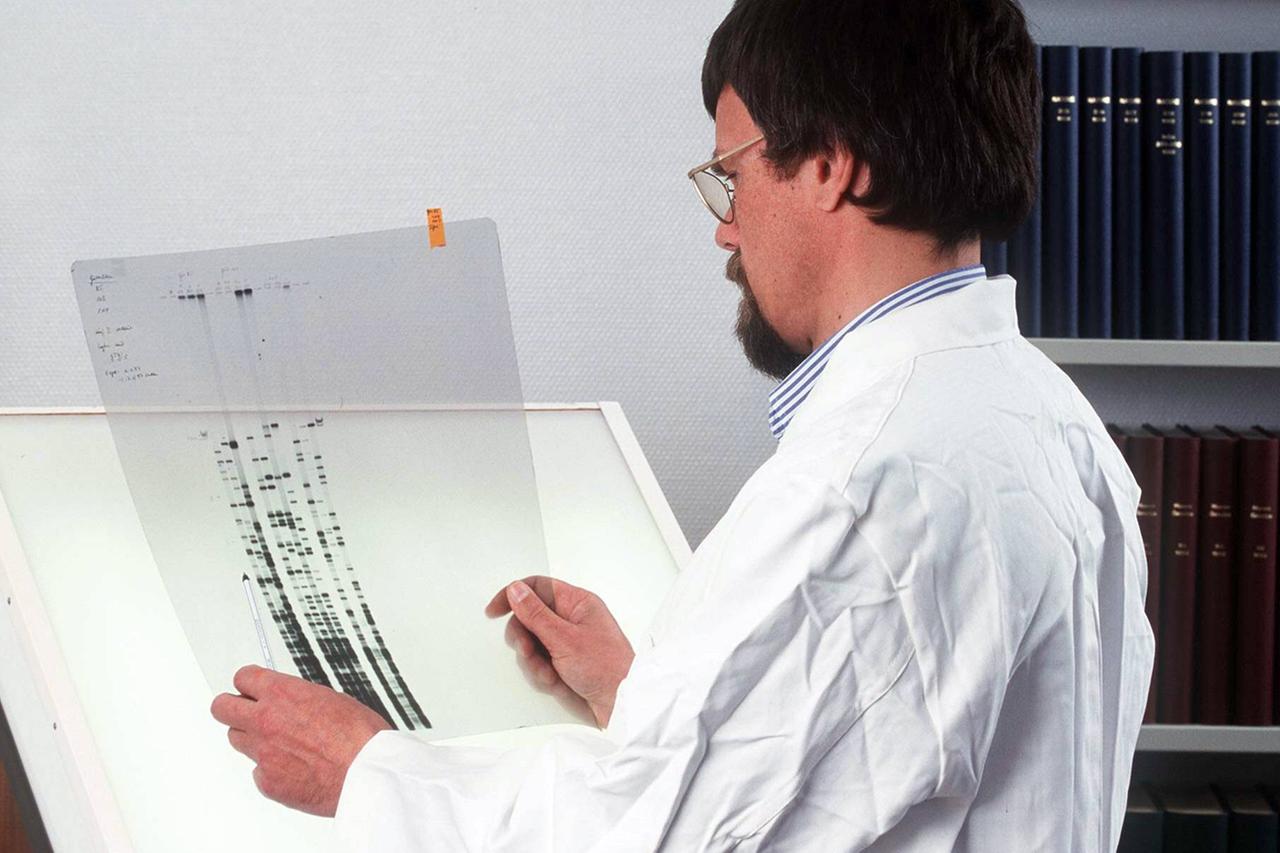 Ein Wissenschaftlicher Mitarbeiter hält eine Folie mit einer DNA-Sequenzanalyse in der Hand.