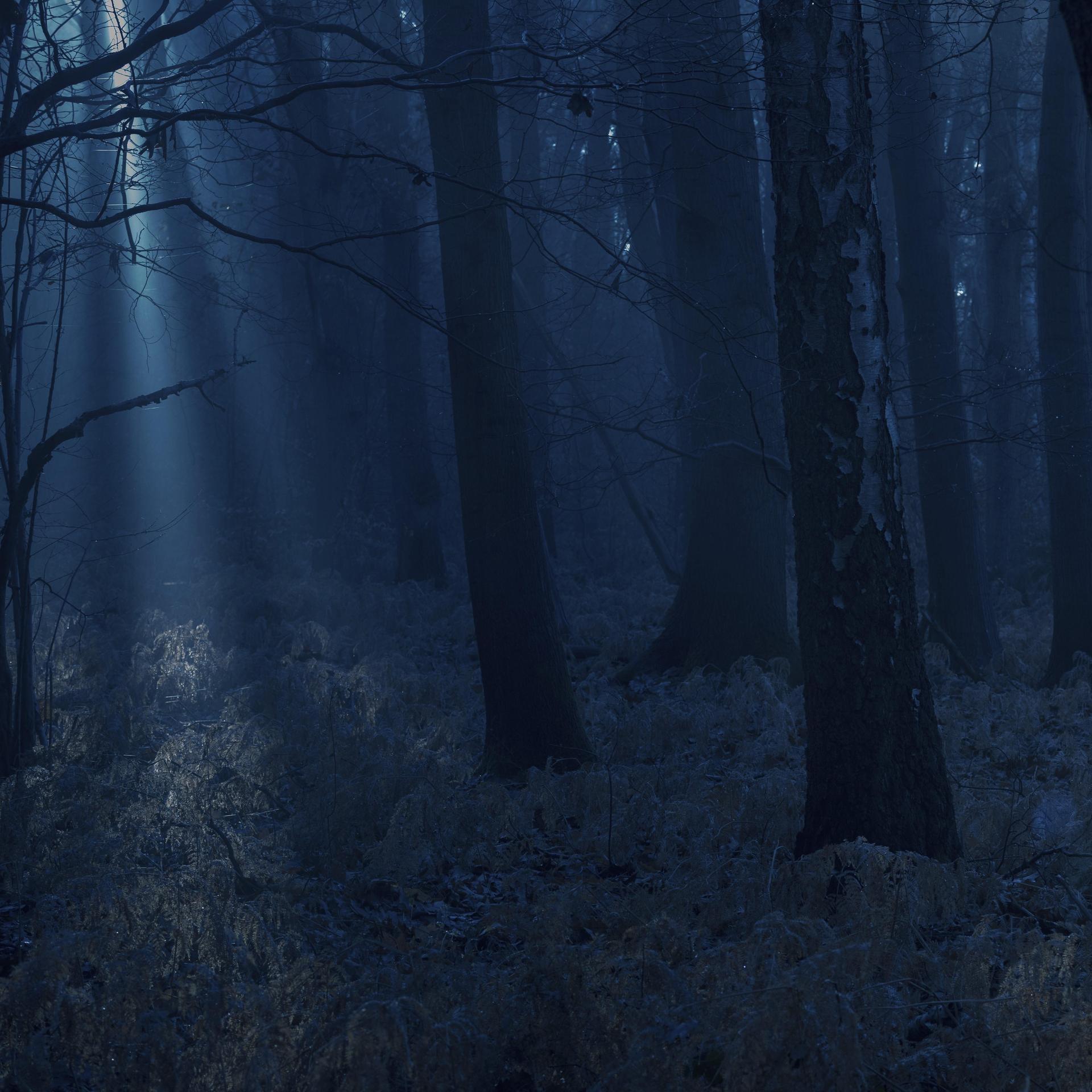 Walk-Away-Ritual: Die Kindheit im Wald lassen