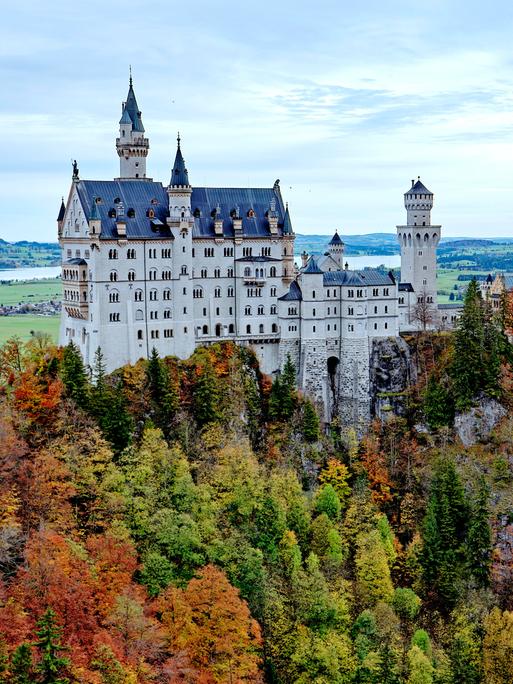 Blick auf Neuschwanstein umgeben von herbstlichen Wäldern