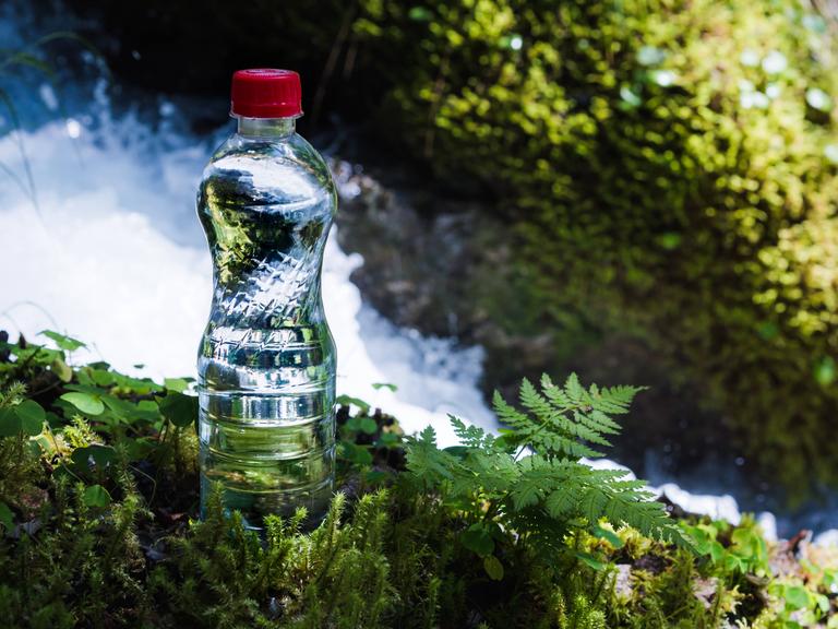 Eine Flasche mit sauberem Wasser mit rotem Deckel steht im Gras und Moos vor dem Hintergrund eines klaren Bergflusses. 
