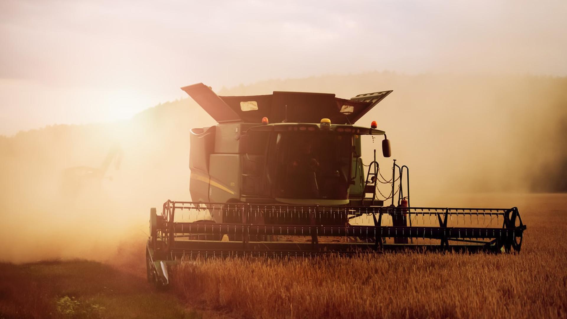 Verschiedene landwirtschaftliche Geräte sind gestohlen worden. Melitta und Stern beginnen mit ihren ersten Ermittlungen. Verschiedene landwirtschaftliche Geräte sind gestohlen worden. Melitta und Stern beginnen mit ihren ersten Ermittlungen.