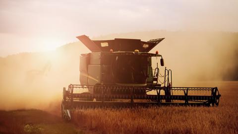 Verschiedene landwirtschaftliche Geräte sind gestohlen worden. Melitta und Stern beginnen mit ihren ersten Ermittlungen.