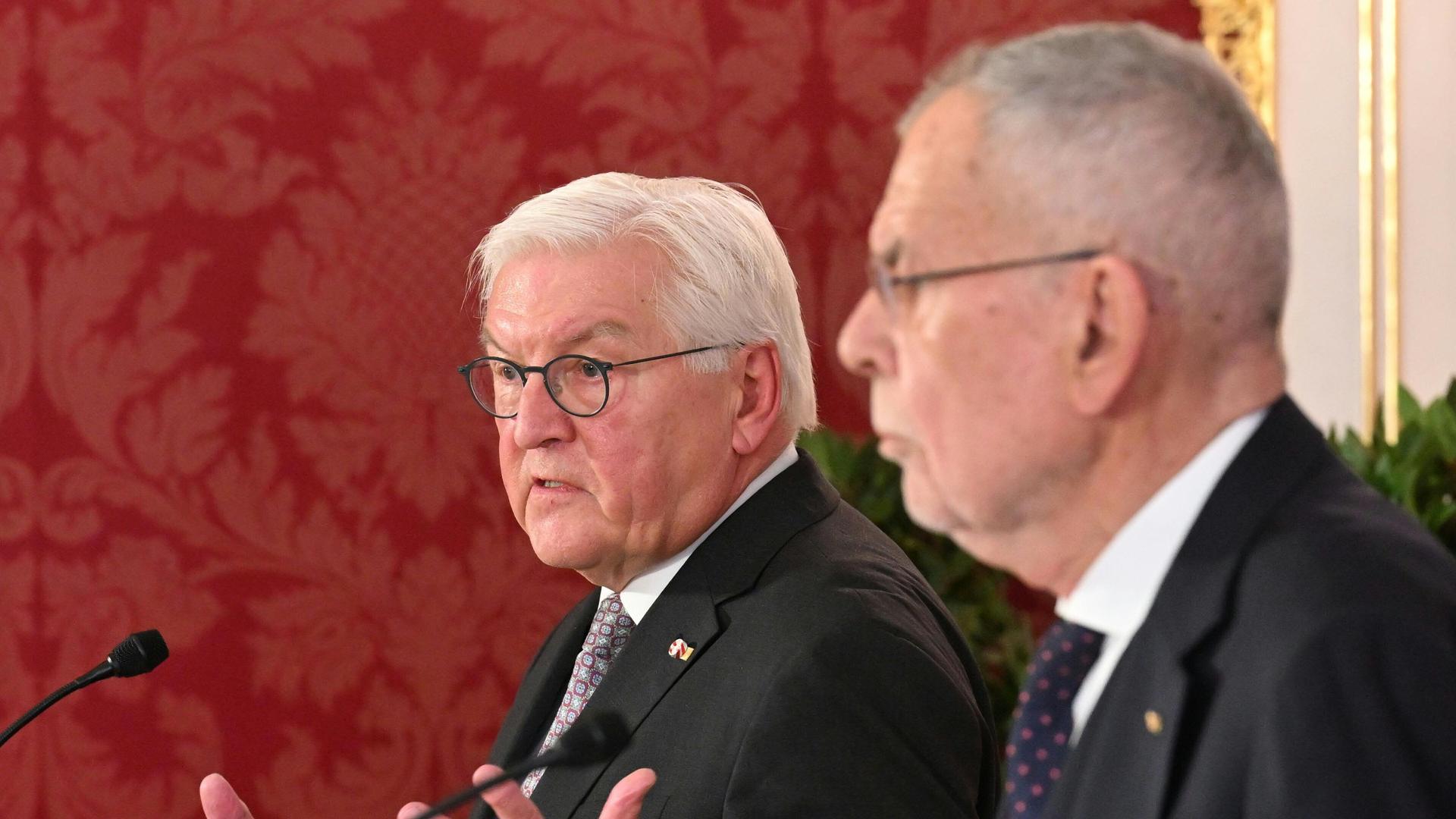Das Bild zeigt Bundespräsident Steinmeier in Wien mit seinem österreichischen Amtskollegen Van der Bellen. Das Bild zeigt Bundespräsident Steinmeier in Wien mit seinem österreichischen Amtskollegen Van der Bellen.