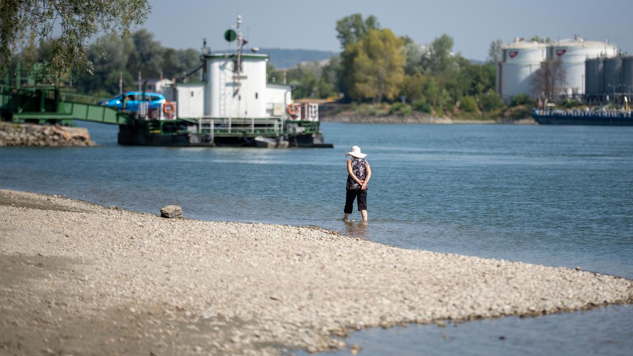 Im Bild: Eine Frau steht am Ufer der Donau mit Blick auf eine Rollfähre bei Klosterneuburg; aufgenommen am Dienstag, 04. August 2026. Fehlender Niederschlag und hohe Temperaturen sorgen derzeit für historisch niedrige Pegelstände. FOTO: APA/GEORG HOCHMUTH