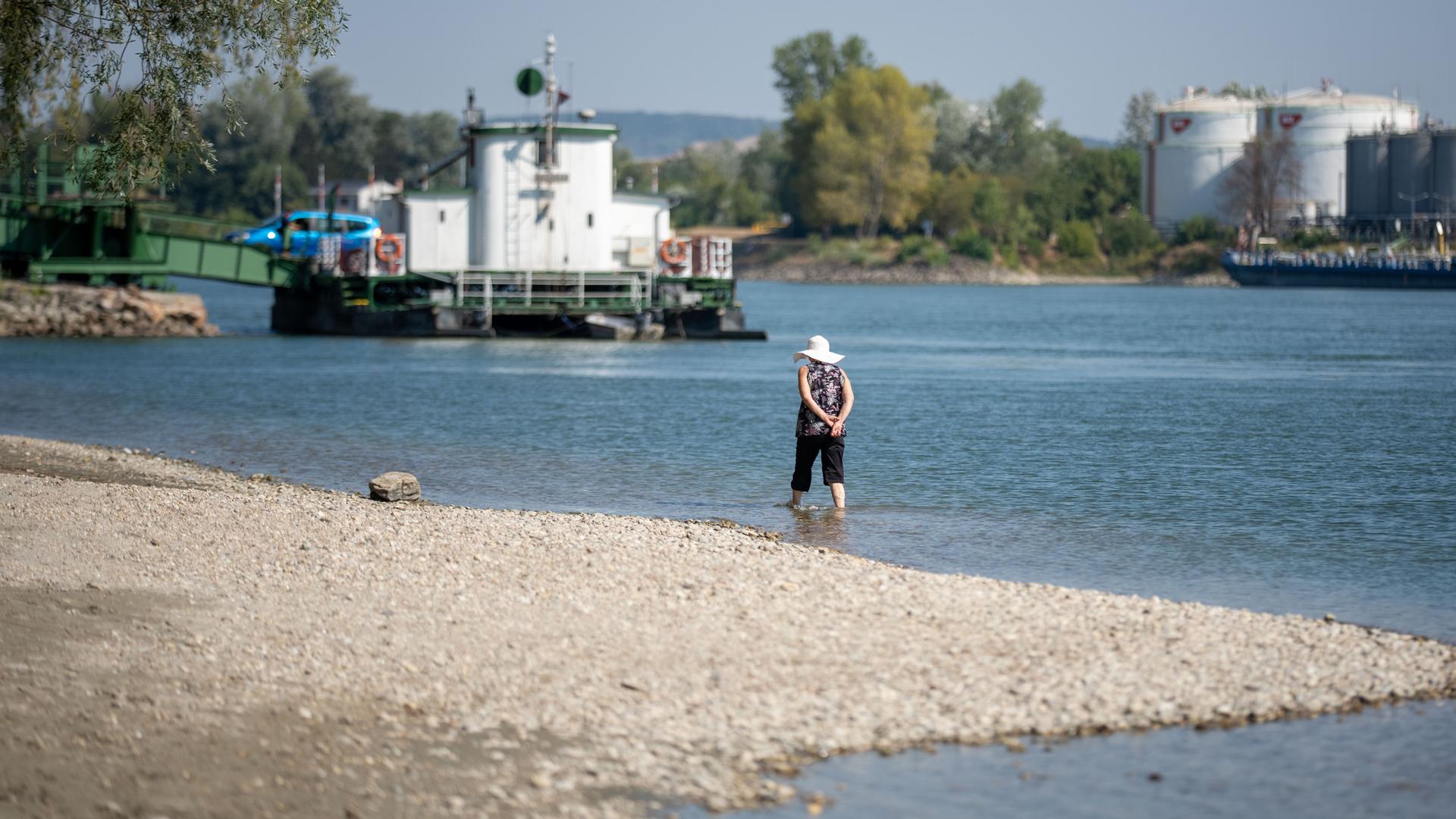Im Bild: Eine Frau steht am Ufer der Donau mit Blick auf eine Rollfähre bei Klosterneuburg; aufgenommen am Dienstag, 04. August 2026. Fehlender Niederschlag und hohe Temperaturen sorgen derzeit für historisch niedrige Pegelstände. FOTO: APA/GEORG HOCHMUTH Im Bild: Eine Frau steht am Ufer der Donau mit Blick auf eine Rollfähre bei Klosterneuburg; aufgenommen am Dienstag, 04. August 2026. Fehlender Niederschlag und hohe Temperaturen sorgen derzeit für historisch niedrige Pegelstände. FOTO: APA/GEORG HOCHMUTH