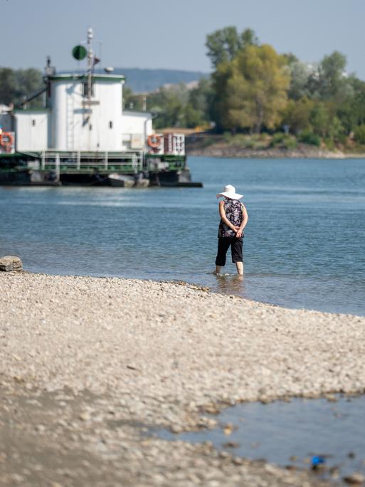 Im Bild: Eine Frau steht am Ufer der Donau mit Blick auf eine Rollfähre bei Klosterneuburg; aufgenommen am Dienstag, 04. August 2026. Fehlender Niederschlag und hohe Temperaturen sorgen derzeit für historisch niedrige Pegelstände. FOTO: APA/GEORG HOCHMUTH