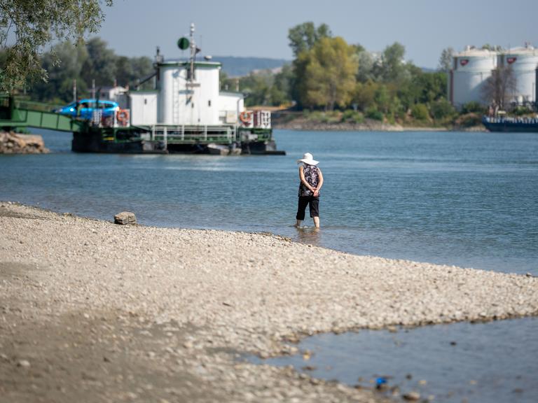 Im Bild: Eine Frau steht am Ufer der Donau mit Blick auf eine Rollfähre bei Klosterneuburg; aufgenommen am Dienstag, 04. August 2026. Fehlender Niederschlag und hohe Temperaturen sorgen derzeit für historisch niedrige Pegelstände. FOTO: APA/GEORG HOCHMUTH