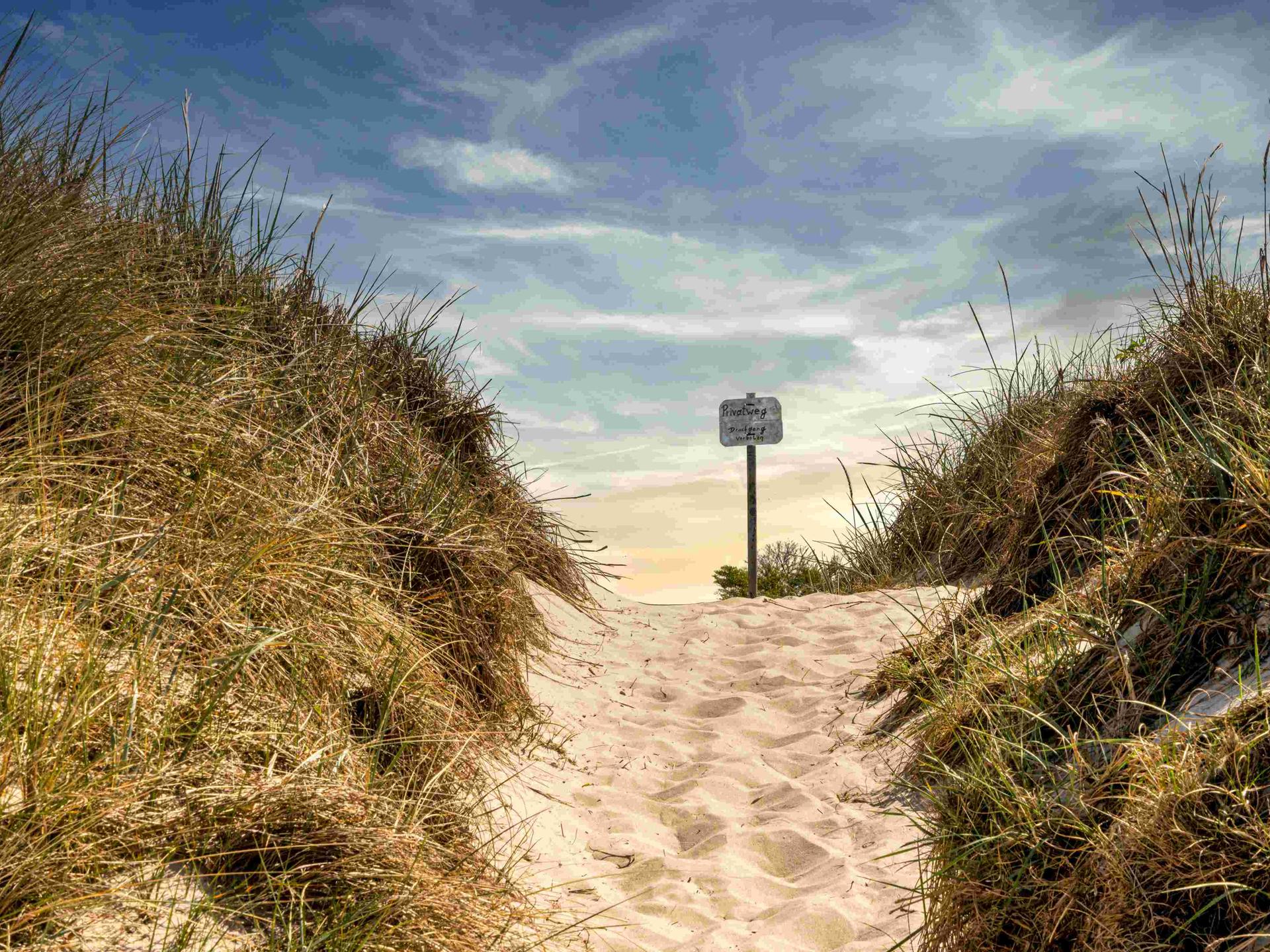 Weg zum Meer am Südstrand auf der Insel Hiddensee, Rügen, Mecklenburg-Vorpommern.