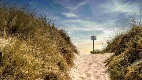 Weg zum Meer am Südstrand auf der Insel Hiddensee, Rügen, Mecklenburg-Vorpommern.