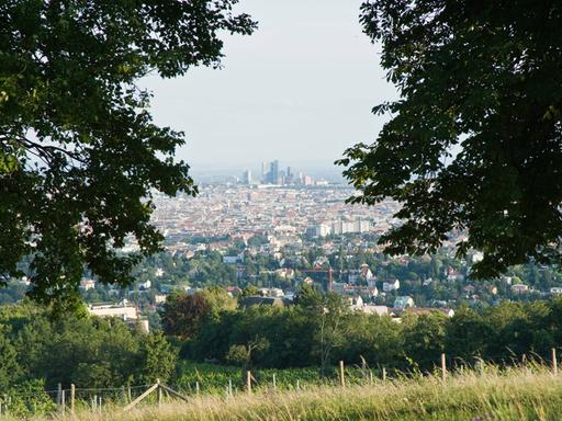 Blick von einem Weinberg aus durch Baumzweige auf eine Großstadt.