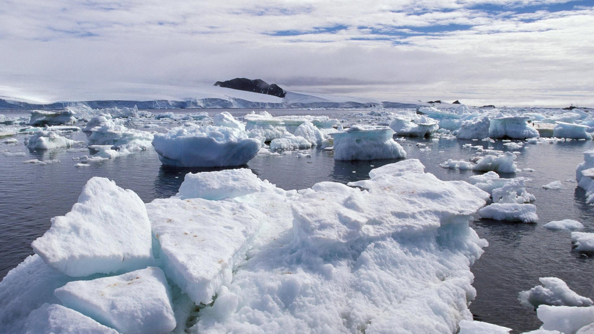 Eisberge im Wasser der Antarktis