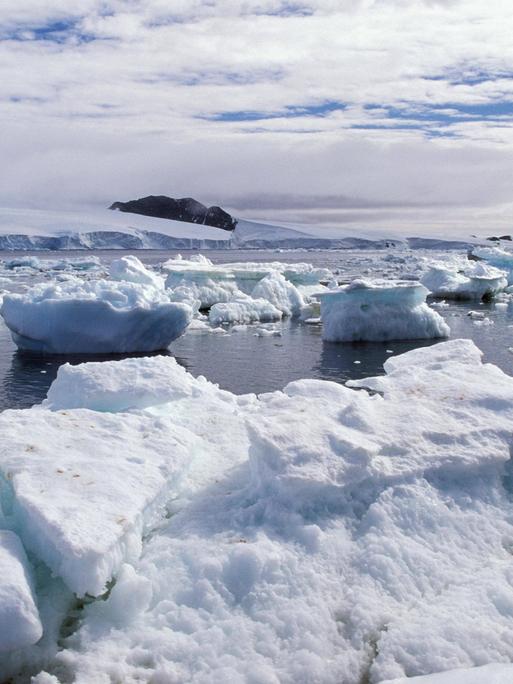 Blick auf Eisberge im Wasser der Antarktis