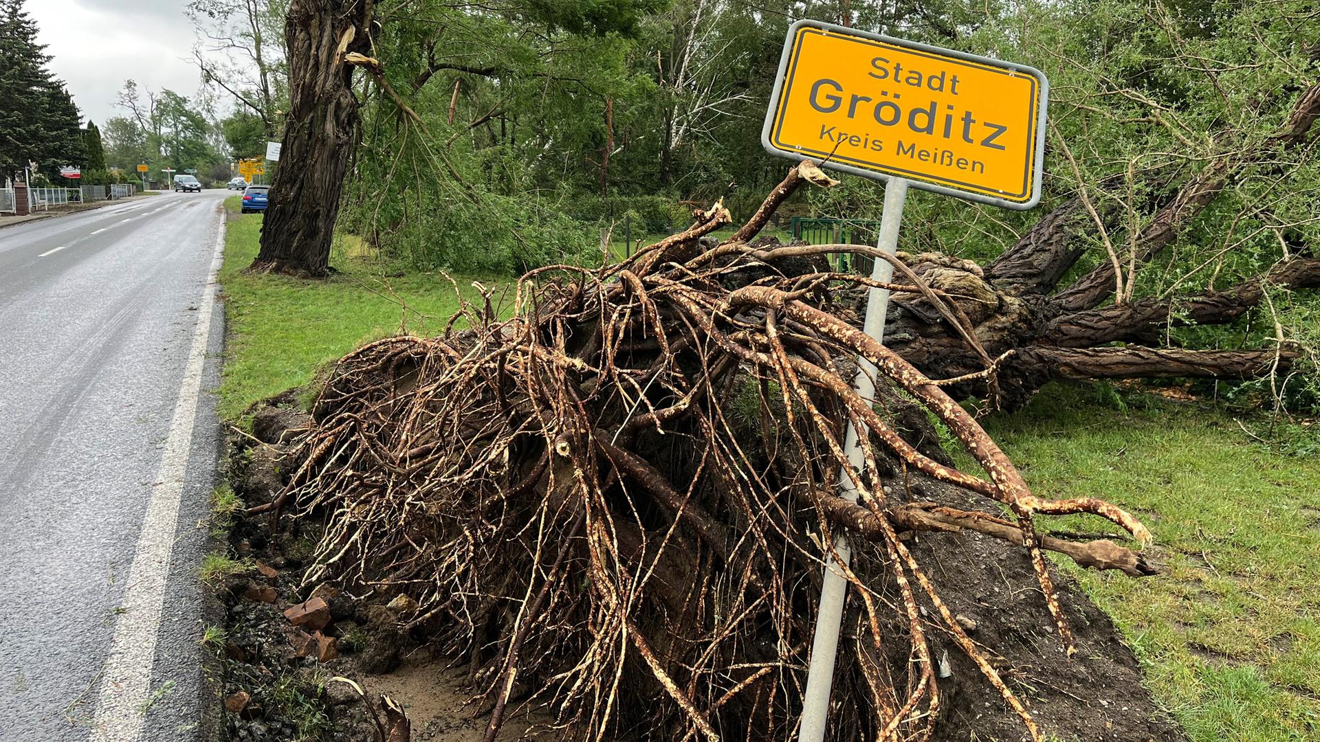 Sachsen, Gröditz: Ein umgestürzter Baum hat das Ortsschild umgerissen. Sachsen, Gröditz: Ein umgestürzter Baum hat das Ortsschild umgerissen.