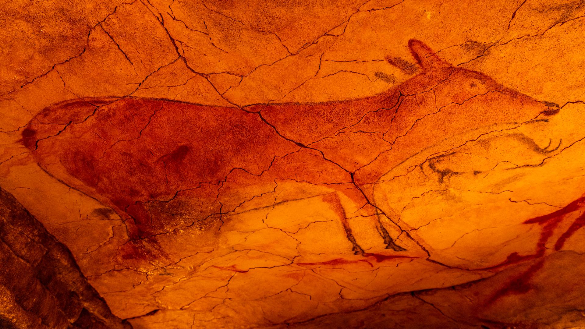 Auf einer Höhlenwand ist die prähistorische Zeichnung eines Tieres zu sehen, das an ein Reh erinnert.