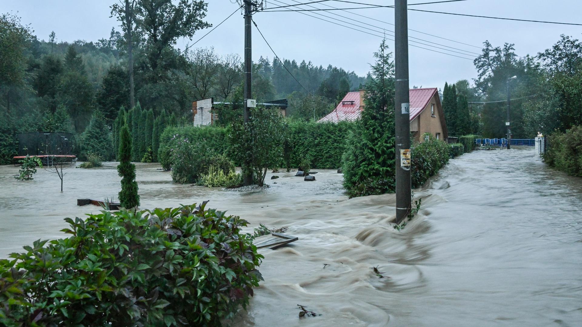 Eine überflutete Stadt in Tschechien - Häuser, Bäume und Masten stehen komplett im Wasser. 