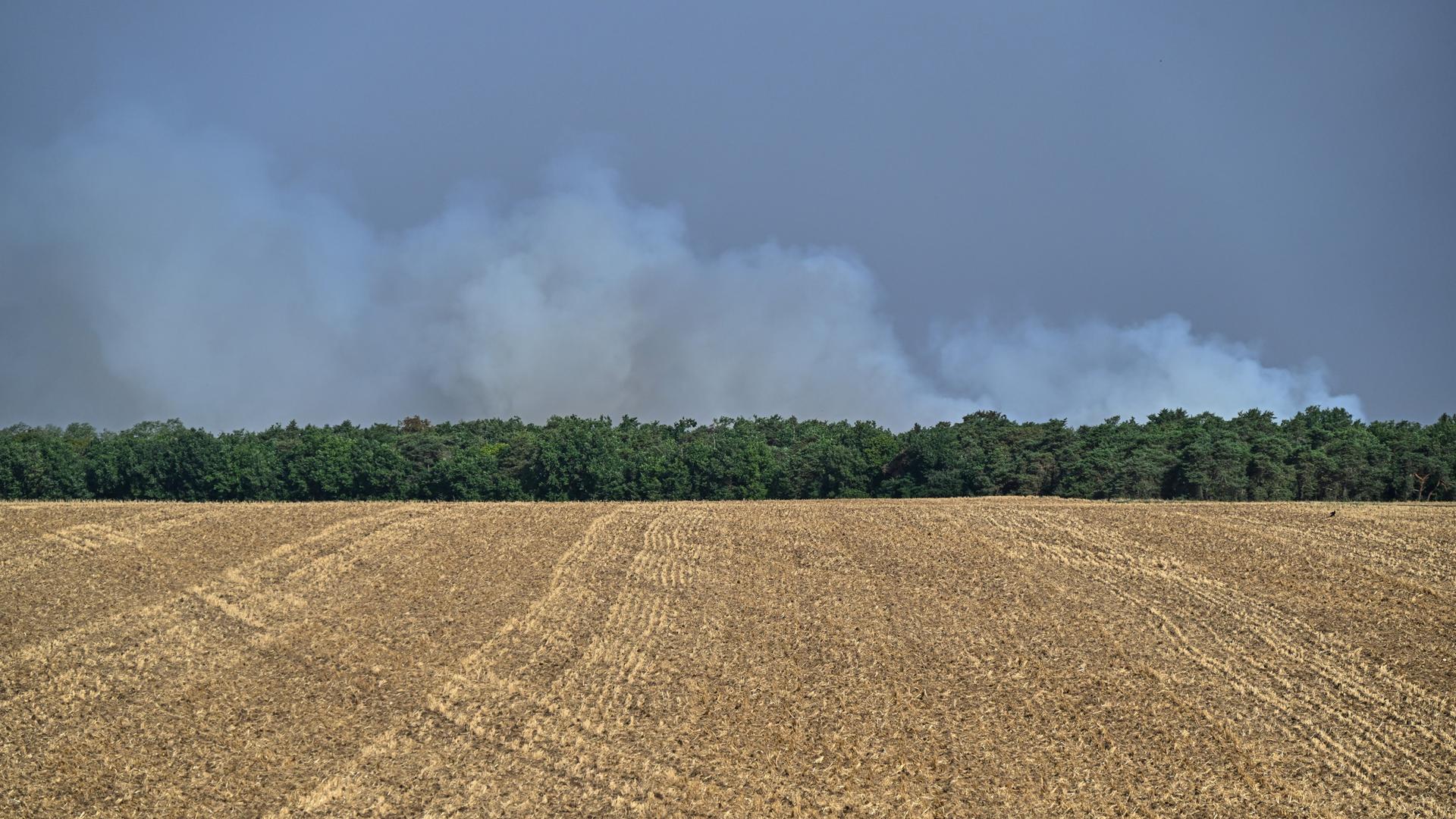 Frankreich, Fontainebleau: Bei Waldbränden im historischen Wald von Fontainebleau, etwa 60 km südlich von Paris steigen Rauchwolken in den Himmel. 