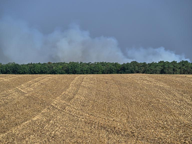 Frankreich, Fontainebleau: Bei Waldbränden im historischen Wald von Fontainebleau, etwa 60 km südlich von Paris steigen Rauchwolken in den Himmel. 