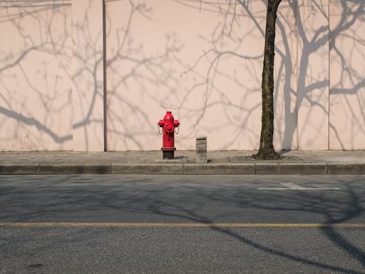 Ein roter Wasserhydrant steht am Straßenrand. Hinter ihm werfen kahle Bäume ihre Schatten an eine Betonwand.