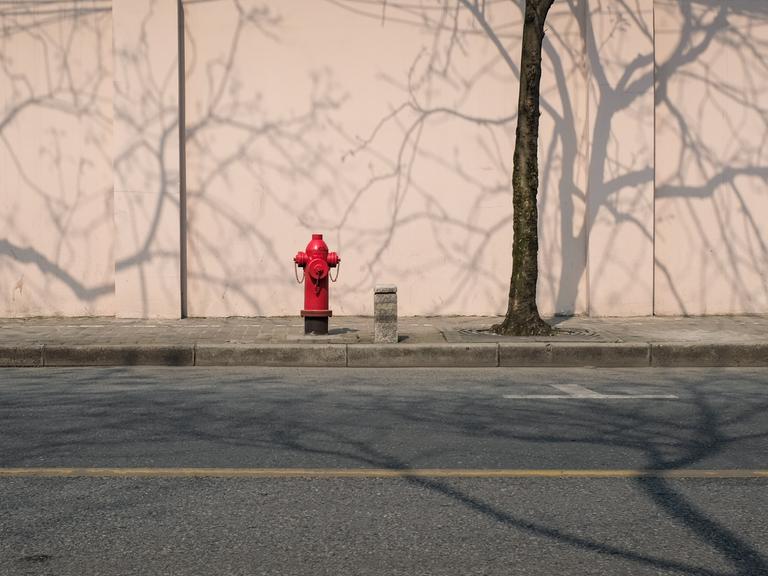 Ein roter Wasserhydrant steht am Straßenrand. Hinter ihm werfen kahle Bäume ihre Schatten an eine Betonwand.