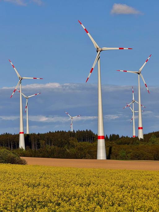 Windräder im Hunsrück bei Kappel in Rheinland-Pfalz. Im Vordergrund sind gelb blühende Felder zu sehen.