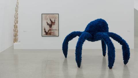 In der Ausstellung "Das Tier in Dir2 im Winer mumok steht eine große, blaue Spinne aus Plüsch. In der Ausstellung "Das Tier in Dir2 im Winer mumok steht eine große, blaue Spinne aus Plüsch.