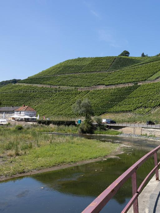 Ein Weinberg im Ahrtal. An seinem Fuße schlängelt sich eine Straße entlang.