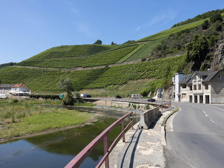 Ein Weinberg im Ahrtal. An seinem Fuße schlängelt sich eine Straße entlang.
