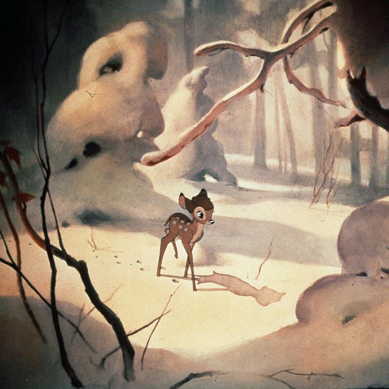 100 Jahre „Bambi“ – „Der Roman ist gute Naturliteratur“