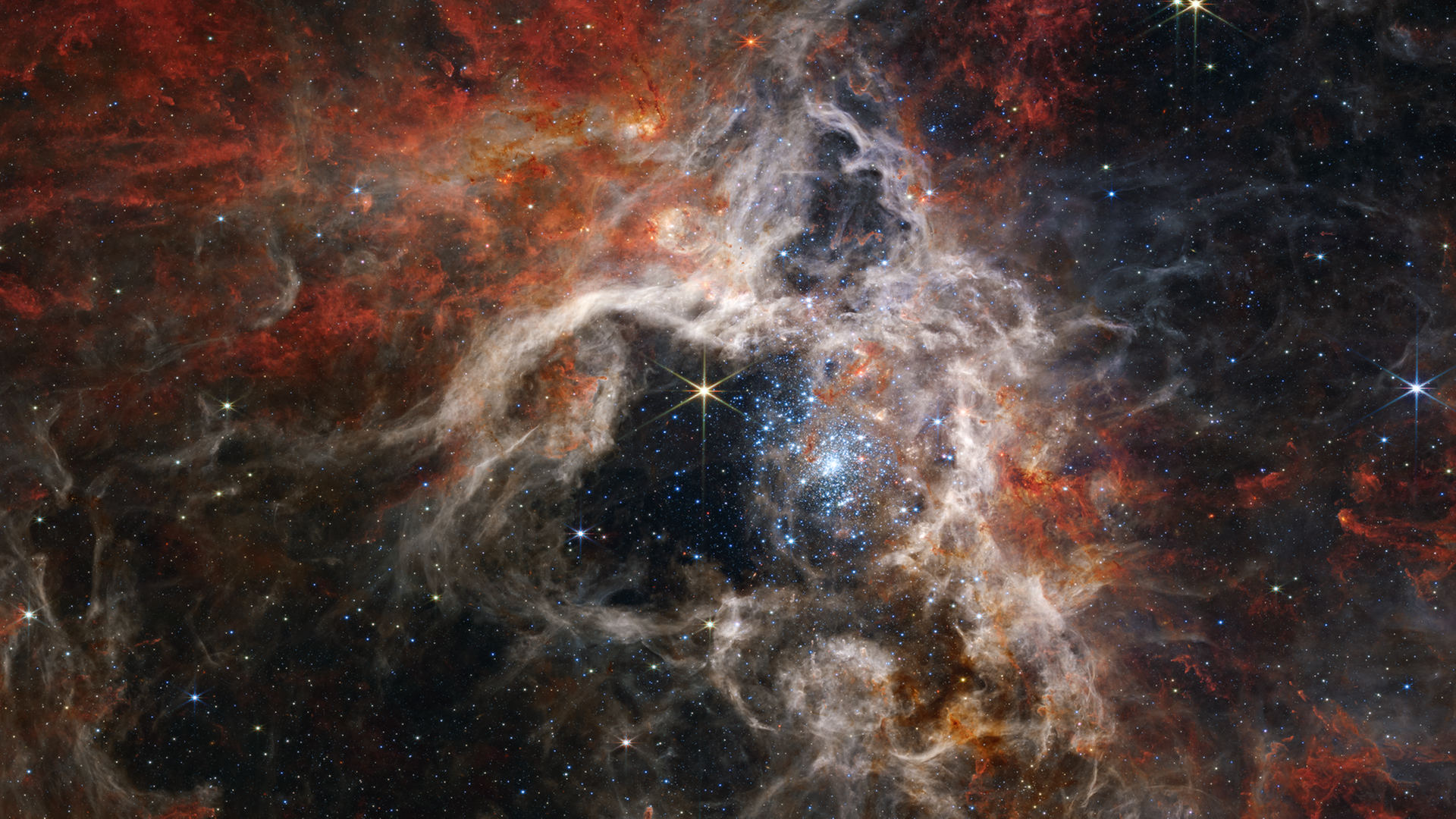 Kaum jemand konnte so wunderbar von der Faszination des Kosmos (hier der Tarantel-Nebel, aufgenommen vom James-Webb-Teleskop) erzählen wie Max Gerstenberger. Kaum jemand konnte so wunderbar von der Faszination des Kosmos (hier der Tarantel-Nebel, aufgenommen vom James-Webb-Teleskop) erzählen wie Max Gerstenberger.