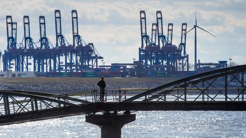 Ein Mann steht am Ufer und schaut auf den Hamburger Containerhafen.