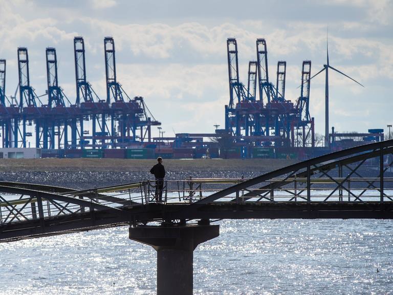 Ein Mann steht am Ufer und schaut auf den Hamburger Containerhafen.