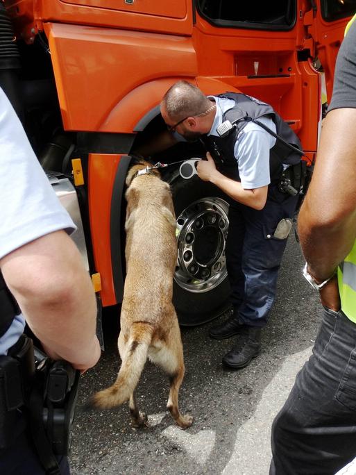 Ein Polizeihund sucht nach Sprengstoff und Drogen in Zürich.