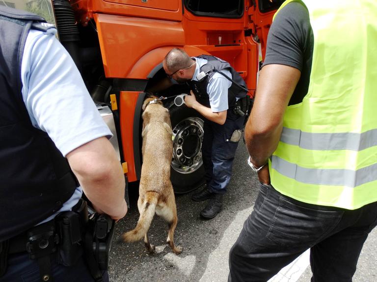 Ein Polizeihund sucht nach Sprengstoff und Drogen in Zürich.