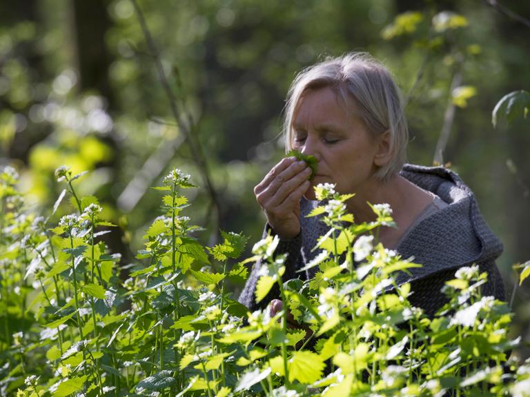 Eine Frau riecht an einer Knoblauchrauke. 
