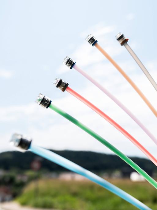 Glasfaserkabel mit diversen bunten Anschlüssen ragen aus dem Boden.