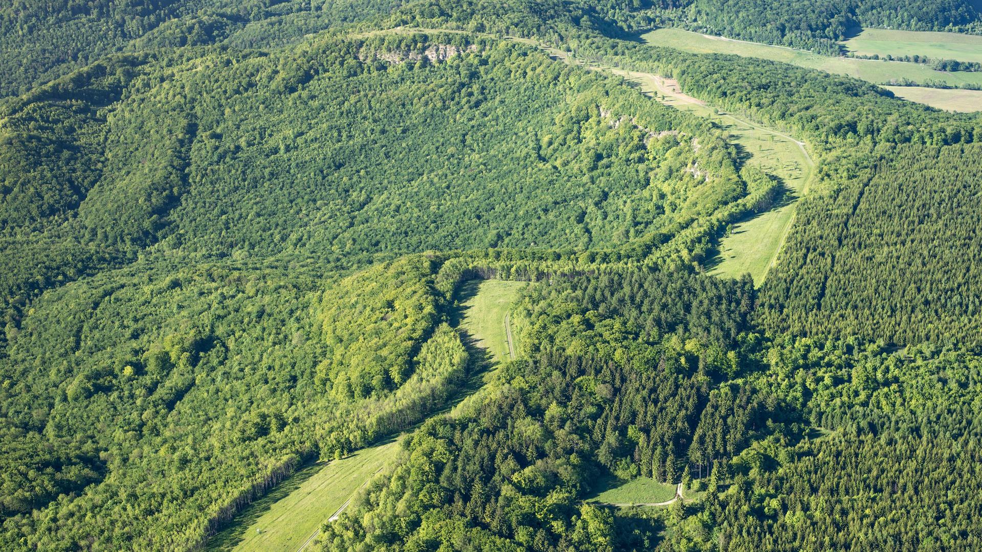 Die Luftaufnahme zeigt eine hellgrüne Rasen-Schneise, die sich über mehrere hundert Meter durch ein dunkelgrünes Waldstück zieht. Die Luftaufnahme zeigt eine hellgrüne Rasen-Schneise, die sich über mehrere hundert Meter durch ein dunkelgrünes Waldstück zieht.