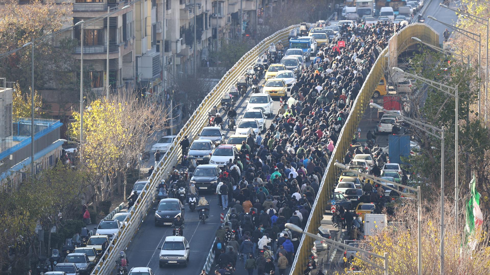 Viele Menschen laufen bei einem Protest-Marsch über eine Brücke. Daneben fahren Autos.