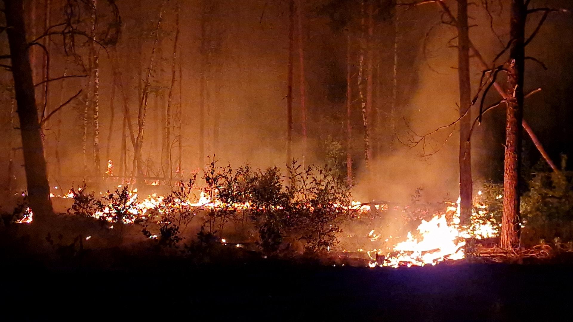 Das Foto zeigt einen brennenden Wald in der Nacht. 