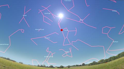Der rote Riese Beteigeuze steht derzeit ein Stück unterhalb der Sonne – zu sehen ist er aber nur, wenn er jetzt als Supernova explodiert. 